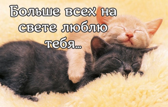 теме, открытки для любимого мужа люблю тебя я сильно и скучаю университете