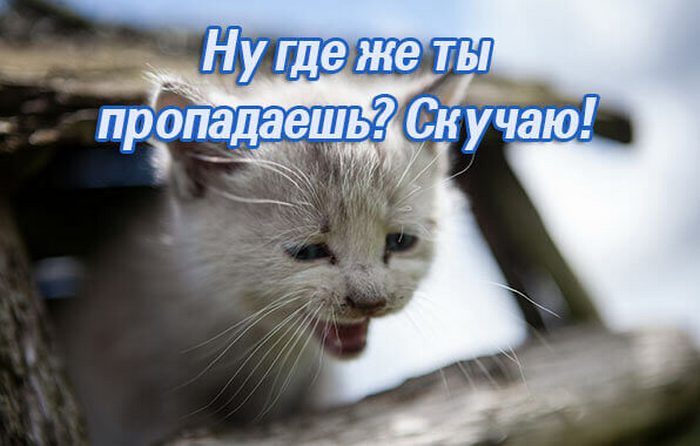 Где ты любимый картинки прикольные