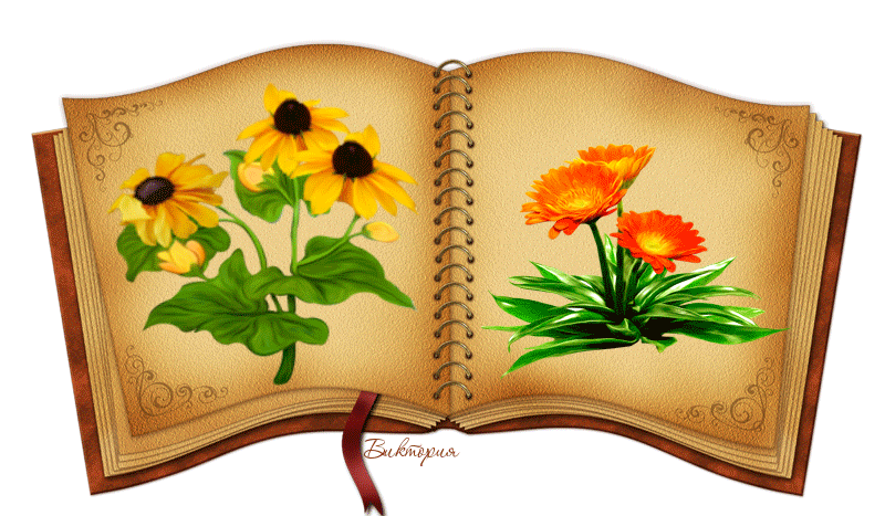 Гифки для презентации книги