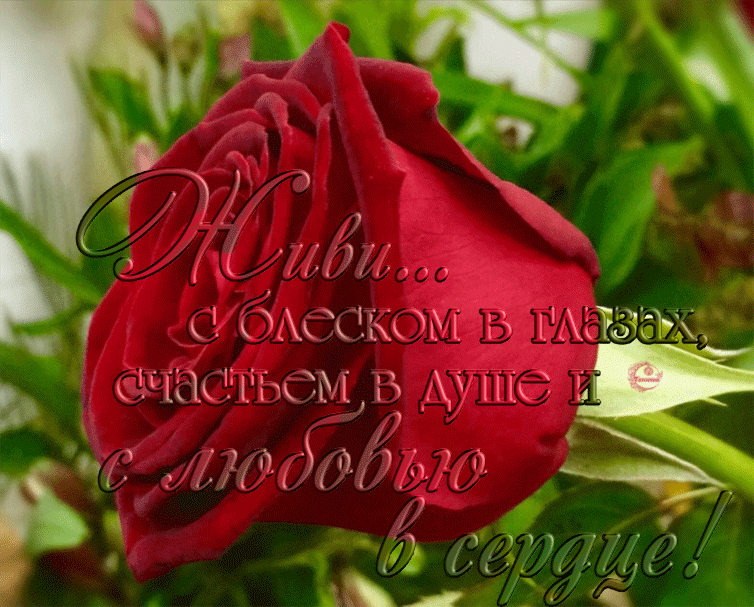 С днём рождения альфтя