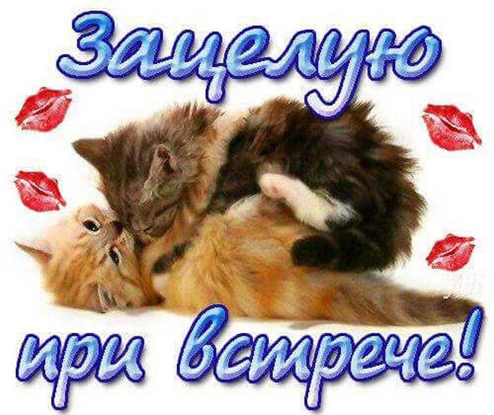 Картинки хочу встречи